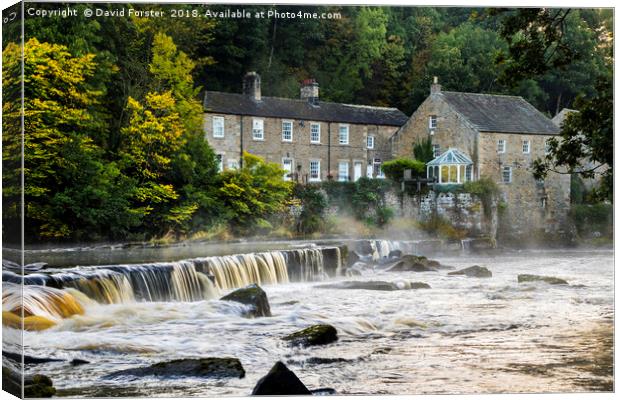 Autumn Mist on theRiver Tees, Barnard Castlle Canvas Print by David Forster