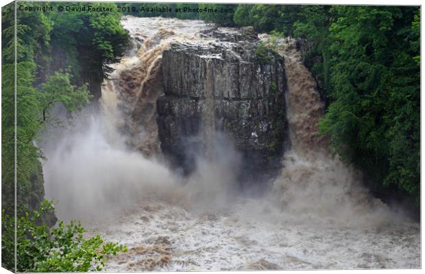 High Force in Flood, Teesdale, County Durham  Canvas Print by David Forster