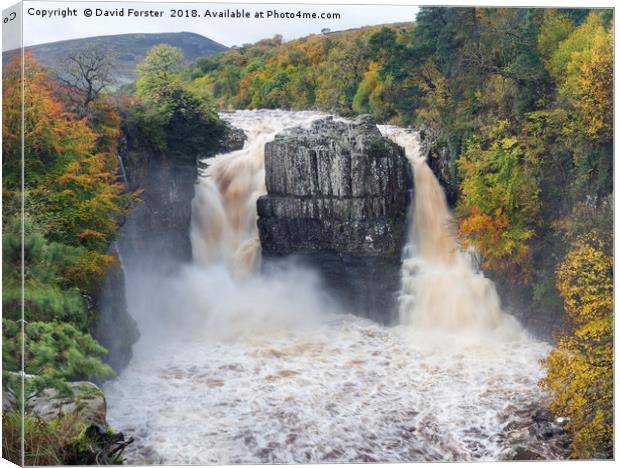 High Force Autumn Canvas Print by David Forster