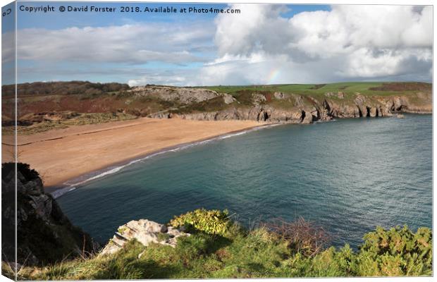 Beautiful Barafundle Bay From the Pembrokeshire Co Canvas Print by David Forster