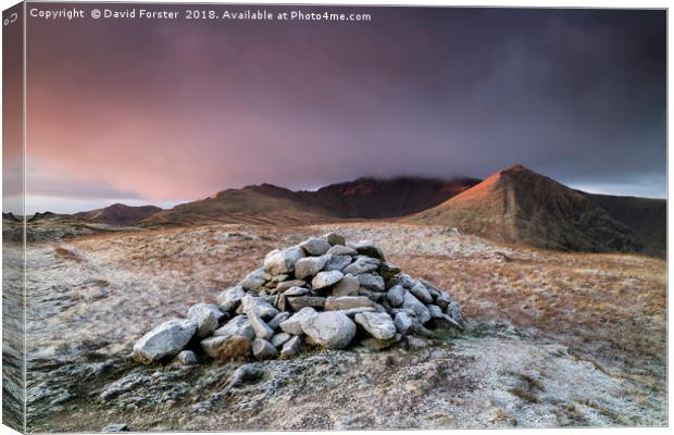 Mountain Dawn, Helvellyn Canvas Print by David Forster