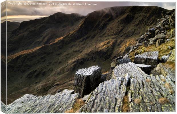  Striding Edge Viewpoint Canvas Print by David Forster
