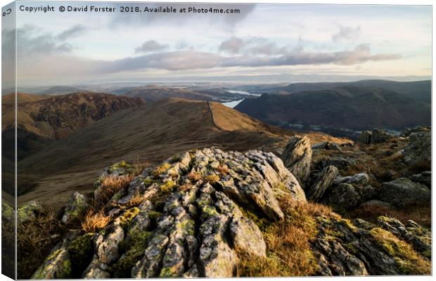 Striding Edge Viewpoint Canvas Print by David Forster