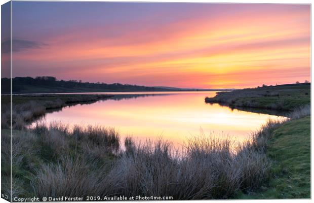 Tranquil Dawn Colours Canvas Print by David Forster