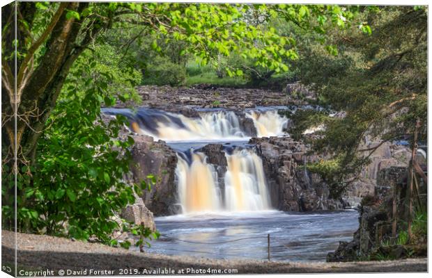 Low Force Waterfall, Teesdale, County Durham, UK Canvas Print by David Forster