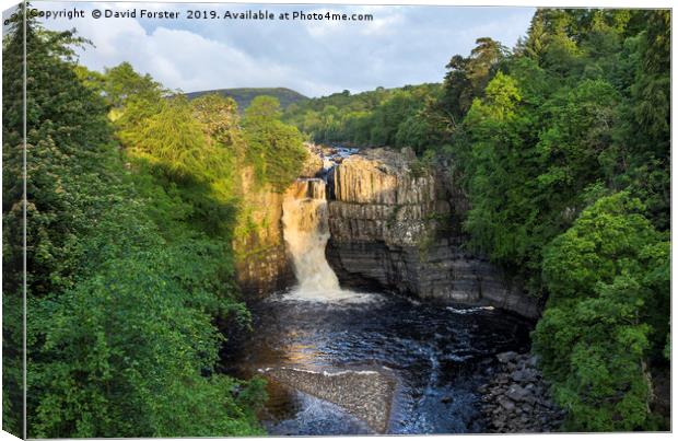 Summer Solstice Sun Illuminating High Force Canvas Print by David Forster