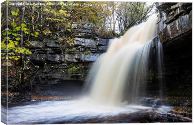 Summerhill Force and Gibson's Cave in Autumn Canvas Print by David Forster