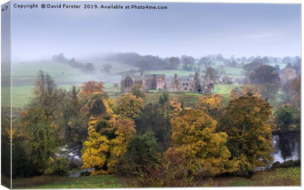 Autumn, Egglestone Abbey, Teesdale, County Durham Canvas Print by David Forster
