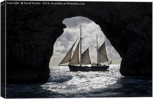 Tallship Framed by the Rock Arch of Durdle Door Canvas Print by David Forster