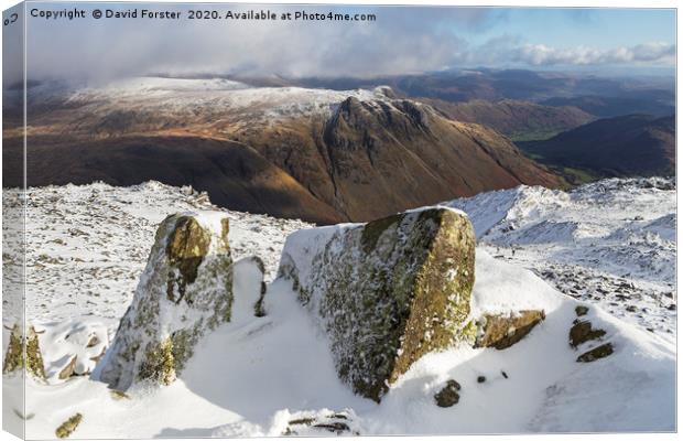 The Langdale Pikes from the Summit of  Bowfell, La Canvas Print by David Forster