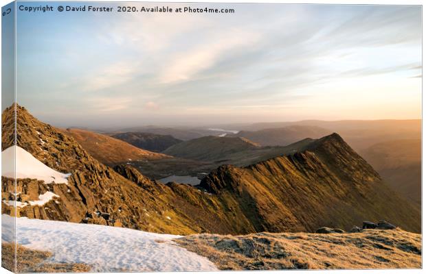 Striding Edge Light Lake District Canvas Print by David Forster