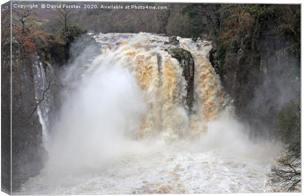High Force During Storm Ciara Canvas Print by David Forster