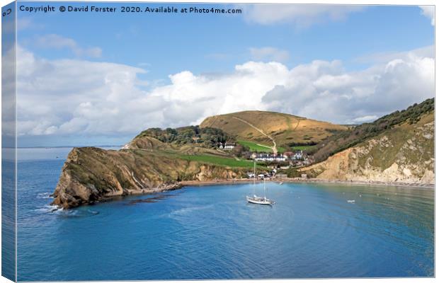 Lulworth Cove, Dorset, UK Canvas Print by David Forster
