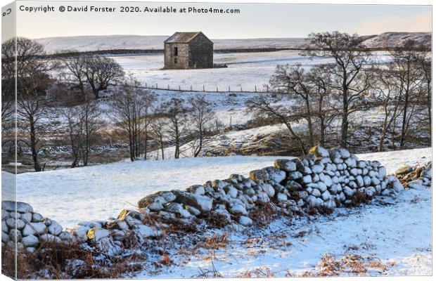 North Pennine Winter Wonderland, Teesdale, County  Canvas Print by David Forster