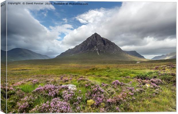 Clearing Summer Storm Buachaille Etive Mor Scotlan Canvas Print by David Forster