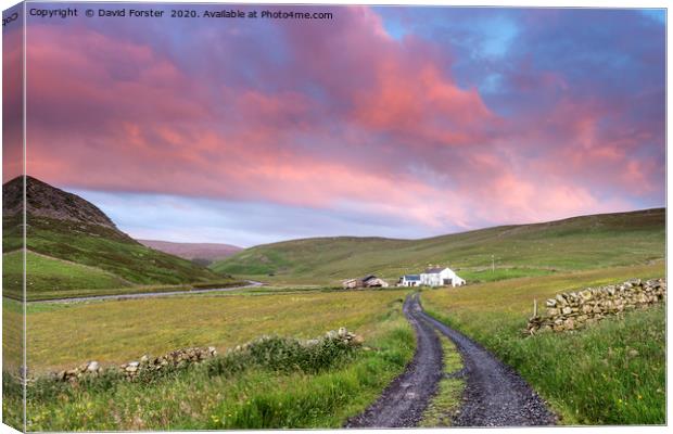 North Pennine Dawn, Teesdale, County Durham Canvas Print by David Forster