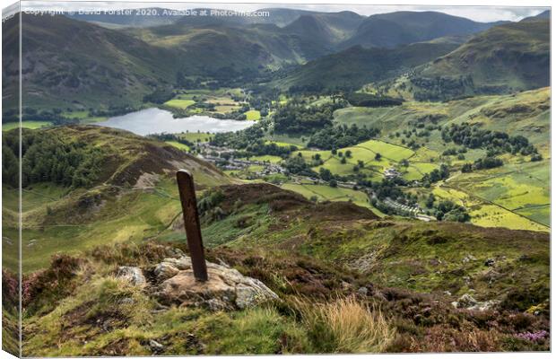 Glenridding and Patterdale from Heron Pike, Lake District, Cumbria, UK Canvas Print by David Forster