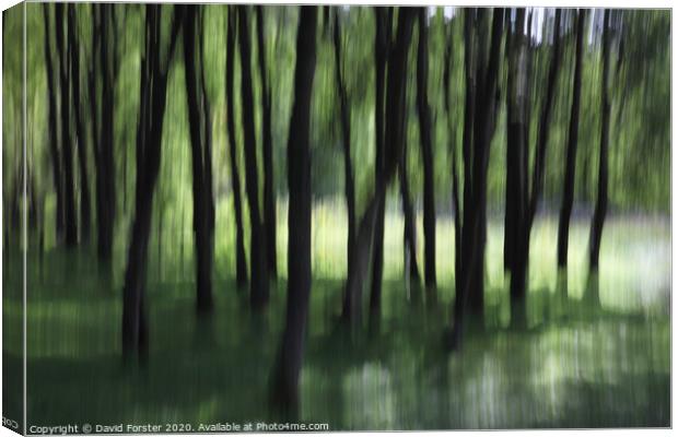 Woodland Tree Blur Abstract Canvas Print by David Forster