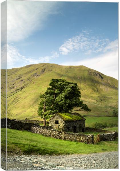 Traditional Old Stone Barn, Lake District, Cumbria, UK Canvas Print by David Forster