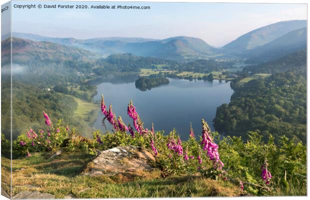 Foxglove Flowers and Grasmere Viwed from Loughrigg Fell on a Mis Canvas Print by David Forster