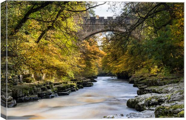 Abbey Bridge and the River Tees Near Barnard Castle in Autumn Canvas Print by David Forster