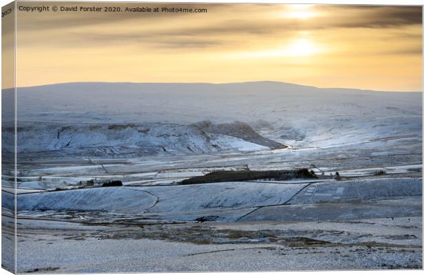 Pastel Shades of Upper Teesdale Canvas Print by David Forster