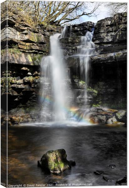 Rainbow Light, Summerhill Force and Gibson’s Cave, Teesdale Canvas Print by David Forster