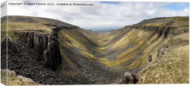 High Cup Gill from High Cup Nick, Cumbria, UK Canvas Print by David Forster
