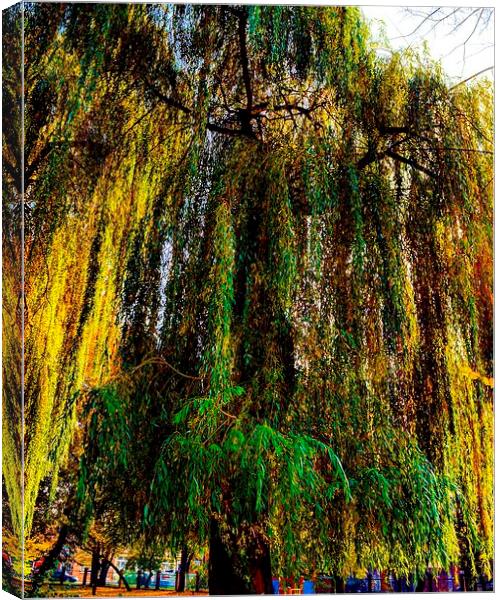  autumnal tree Canvas Print by Carl Harlott