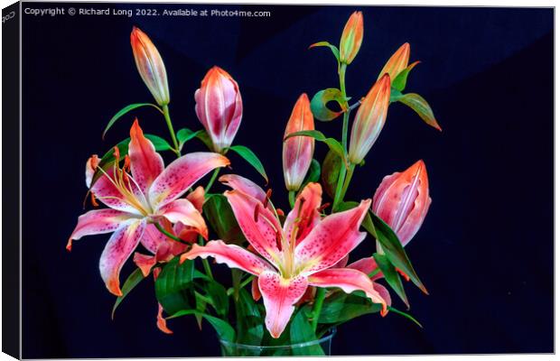 Vivid Pink Lilies Canvas Print by Richard Long