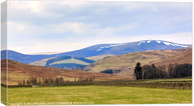 Springtime in the Scottish borders Canvas Print by Richard Long