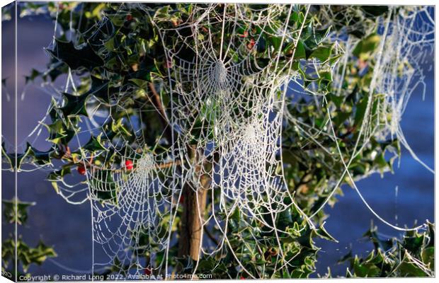 Frost covered Spider webs Canvas Print by Richard Long