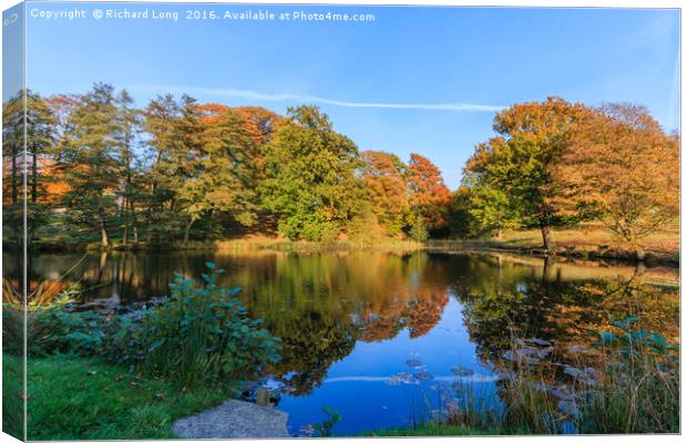 Reflected Sunlit Colours of Autumn Canvas Print by Richard Long
