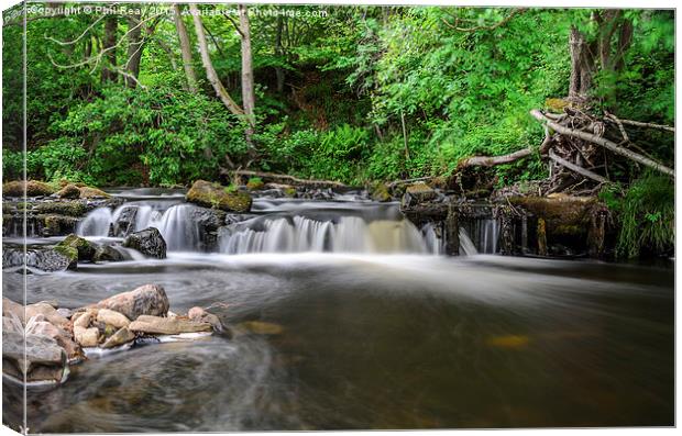  A small weir on the River Derwent Canvas Print by Phil Reay