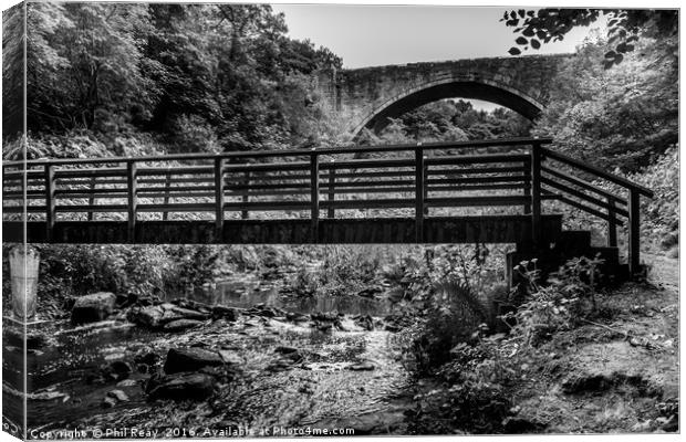 Causey Arch  Canvas Print by Phil Reay