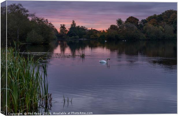 Bolam Lake, Northumberland.  Canvas Print by Phil Reay