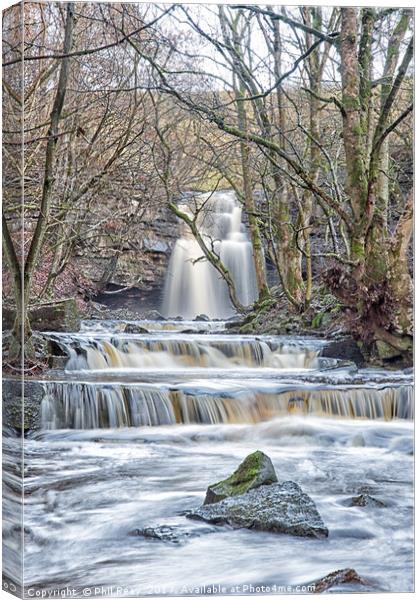 Summerhill Force, Teesdale Canvas Print by Phil Reay