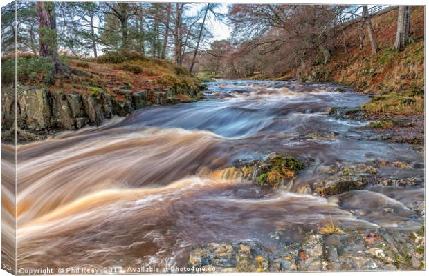 Low Force, Teesdale.  Canvas Print by Phil Reay