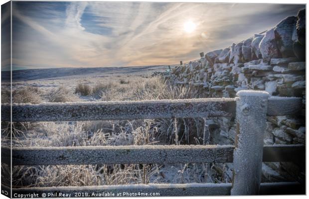 A cold & frosty morning Canvas Print by Phil Reay