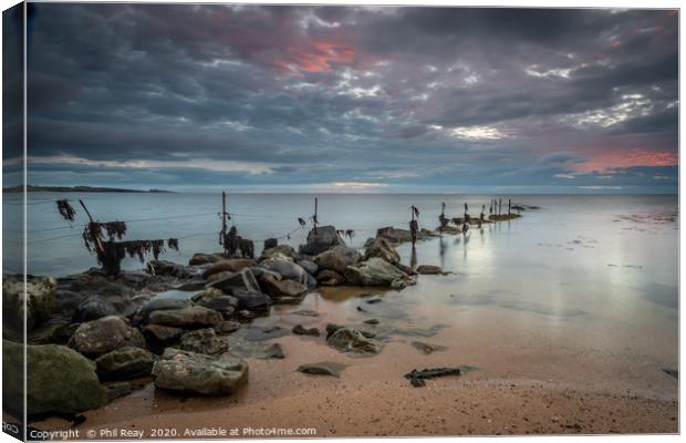 Sunrise at Sugar Sands, Northumberland Canvas Print by Phil Reay