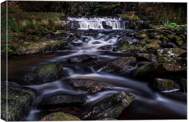  Slow motion at Hardcastle Crags Canvas Print by David Schofield