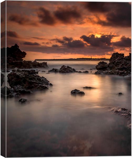  Sunset on the rocks Canvas Print by David Schofield