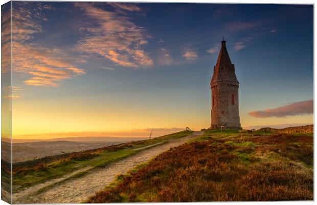 Hartshead Pike Canvas Print by David Schofield