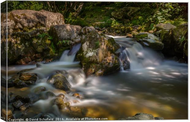 Aira Beck, The Lake District Canvas Print by David Schofield