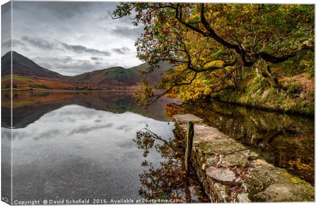 A place to reflect Canvas Print by David Schofield