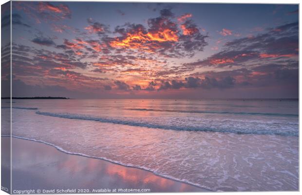 Sunrise Riviera Maya Canvas Print by David Schofield