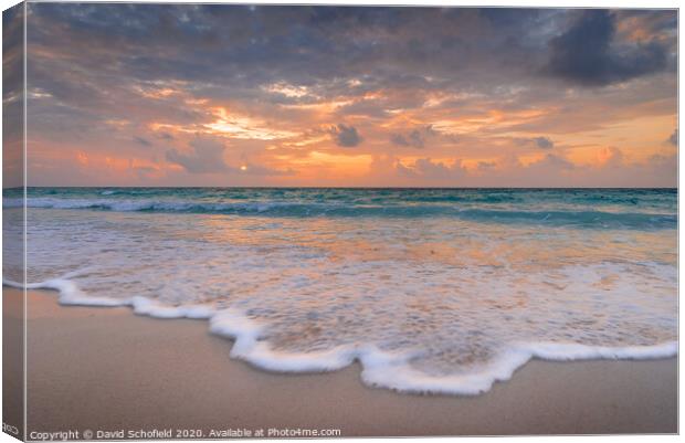 Sunrise over the Riviera Maya Canvas Print by David Schofield