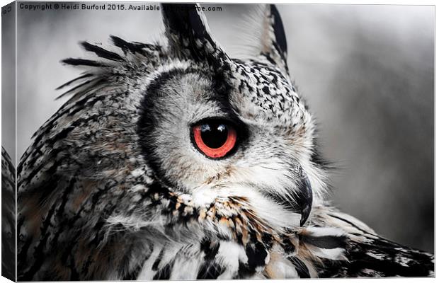  Eurasian eagle owl  Canvas Print by Heidi Burford