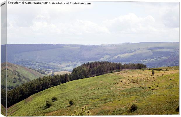  View from Horseshoe Pass Canvas Print by Carol Walker