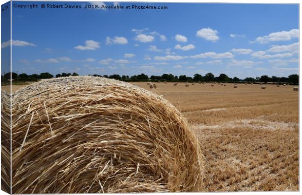 Bale Of Straw Hay Bale Holmes Chapel Canvas Print by Robert Davies